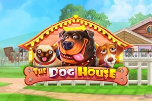 The Dog House